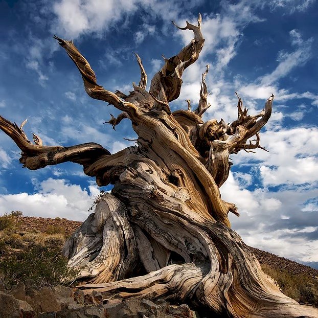 ফটো  গ্যালারী