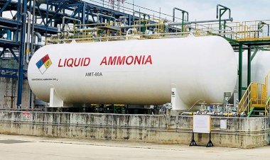 অ্যামোনিয়া সংকটে থেমে গেল দেশের একমাত্র ডিএপি কারখানা, উৎপাদনে অনিশ্চয়তা