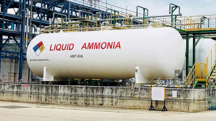 অ্যামোনিয়া সংকটে থেমে গেল দেশের একমাত্র ডিএপি কারখানা, উৎপাদনে অনিশ্চয়তা